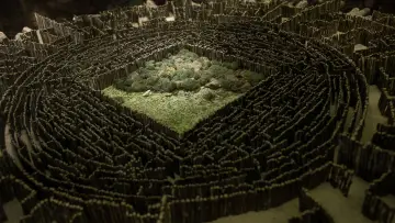 Backdrop to the movie "The Maze Runner" #551499