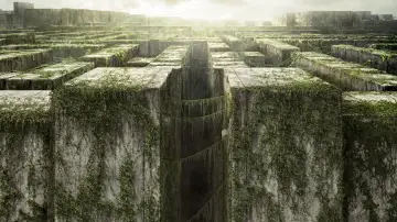 Backdrop to the movie "The Maze Runner" #551508