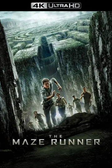 Poster to the movie "The Maze Runner" #551537