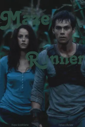 Poster to the movie "The Maze Runner" #911548