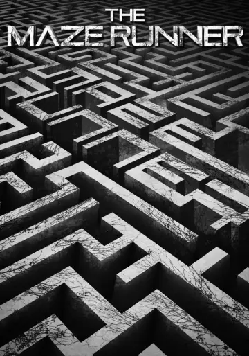Poster to the movie "The Maze Runner" #911551