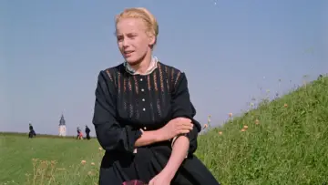 Backdrop to the movie "The Sins of Rose Bernd" #681127