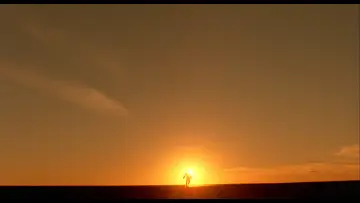 Backdrop to the movie "The Reflecting Skin" #1523429