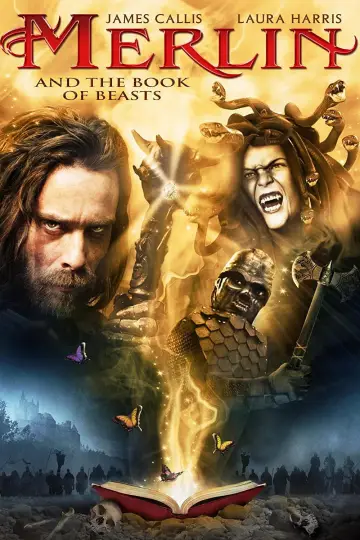 Poster to the movie "Merlin and the Book of Beasts" #1110913