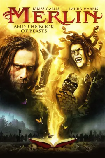 Poster to the movie "Merlin and the Book of Beasts" #1110917