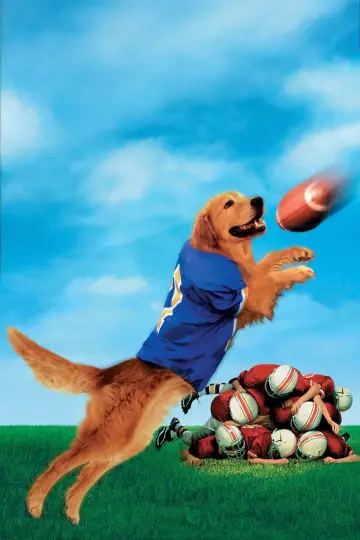 Poster to the movie "Air Bud: Golden Receiver" #1047577