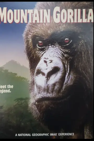 Poster to the movie "Mountain Gorilla" #1640893