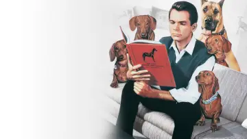 Backdrop to the movie "The Ugly Dachshund" #1853637