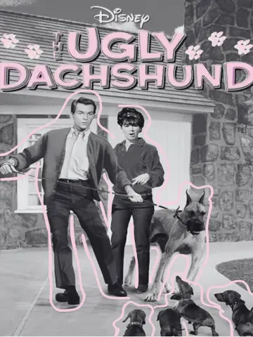 Poster to the movie "The Ugly Dachshund" #1853677