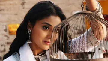 Backdrop to the movie "Awarapan" #872497