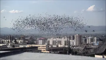 Backdrop to the movie "Infestation" #1653525