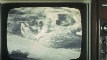 Backdrop to the movie "Gamera vs. Barugon" #1210500