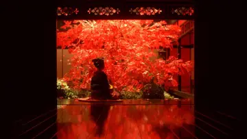 Backdrop to the movie "Sakuran" #1184391