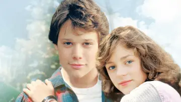 Backdrop to the movie "The Boy Who Could Fly" #967521