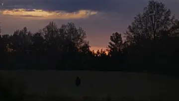 Backdrop to the movie "Halloween II" #1861769