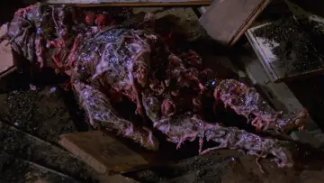 Backdrop to the movie "City of the Living Dead" #999960