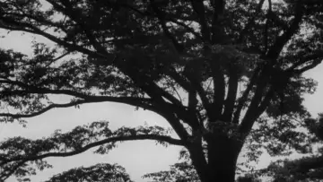 Backdrop to the movie "Late Spring" #881864