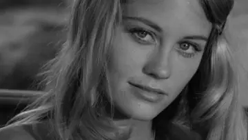 Backdrop to the movie "The Last Picture Show" #726672