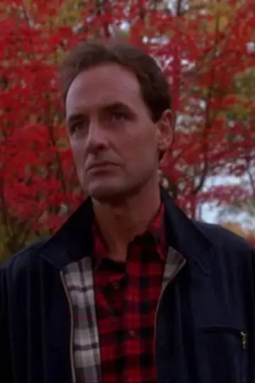 Poster to the movie "The Stepfather" #933341