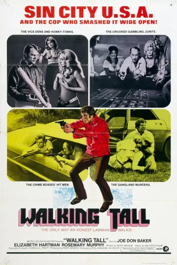 Poster to the movie "Walking Tall" #1071182