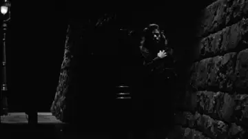 Backdrop to the movie "Cat People" #993869