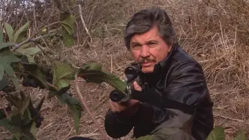 Backdrop to the movie "Death Wish 4: The Crackdown" #351297