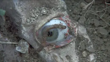 Backdrop to the movie "Blood on Satan