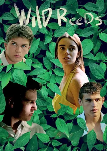 Poster to the movie "Wild Reeds" #1084777