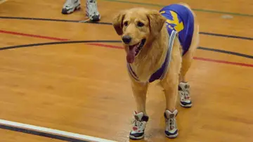 Backdrop to the movie "Air Bud" #626784