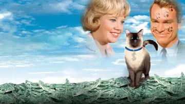 Backdrop to the movie "That Darn Cat!" #401055