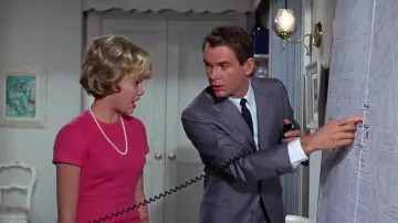 Backdrop to the movie "That Darn Cat!" #401060