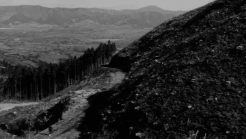 Backdrop to the movie "Samurai Rebellion" #1075514