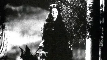 Backdrop to the movie "Black Sunday" #986674