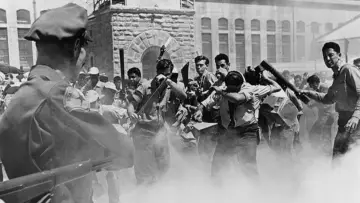 Backdrop to the movie "Riot in Cell Block 11" #1168964