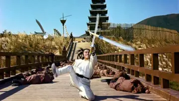 Backdrop to the movie "The New One-Armed Swordsman" #947856