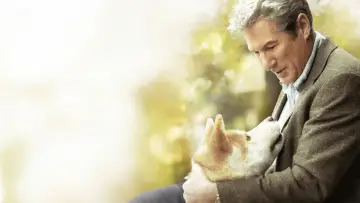 Backdrop to the movie "Hachi: A Dog