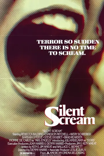 Poster to the movie "Silent Scream" #1135135