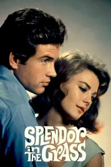 Poster to the movie "Splendor in the Grass" #1014750