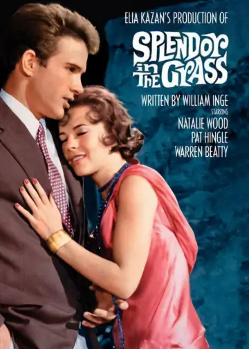 Poster to the movie "Splendor in the Grass" #1014751