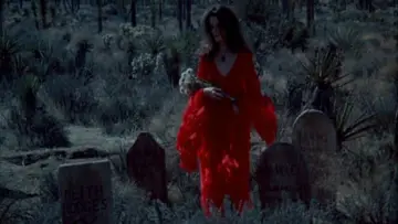 Backdrop to the movie "The Velvet Vampire" #874234