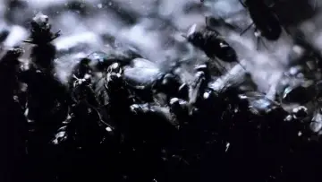 Backdrop to the movie "Phenomena" #994992
