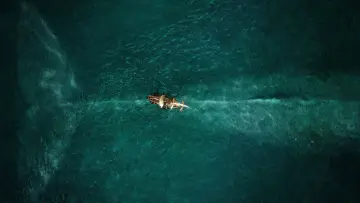 Backdrop to the movie "In the Heart of the Sea" #265667