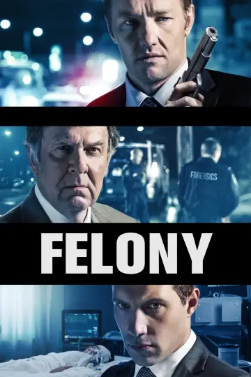 Poster to the movie "Felony" #1103813