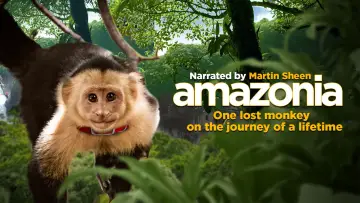 Backdrop to the movie "Amazonia" #708203
