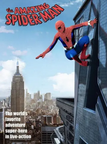 Poster to the movie "Spider-Man" #1007312