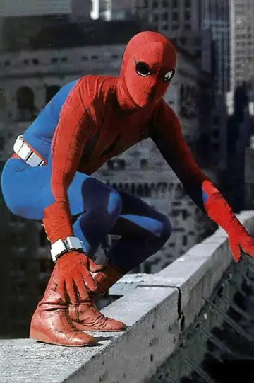 Poster to the movie "Spider-Man" #1007320