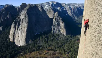 Backdrop to the movie "The Network" #1170788