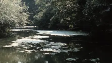 Backdrop to the movie "Nostos: The Return" #1210940