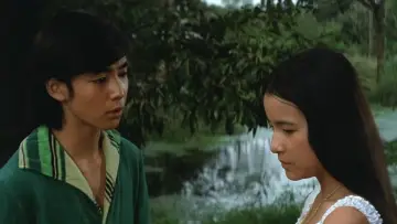 Love Is in the Green Wind