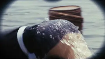 Backdrop to the movie "Nasty Diver" #1653118